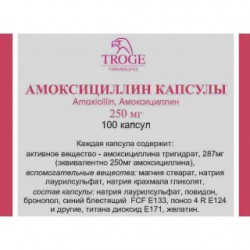 Амоксициллин капс. 250 мг 100 шт.